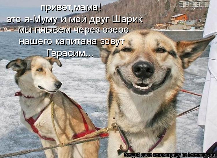 Котоматрица: привет,мама! мы плывем через озеро нашего капитана зовут Герасим... это я-Муму и мой друг Шарик