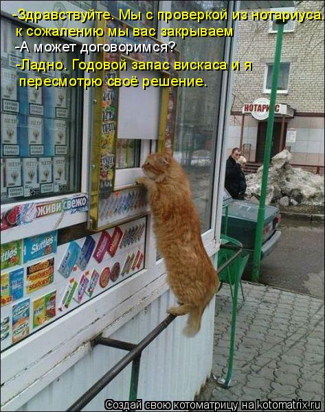 Котоматрица: -Здравствуйте. Мы с проверкой из нотариуса. к сожалению мы вас закрываем -А может договоримся? -Ладно. Годовой запас вискаса и я  пересмотрю с