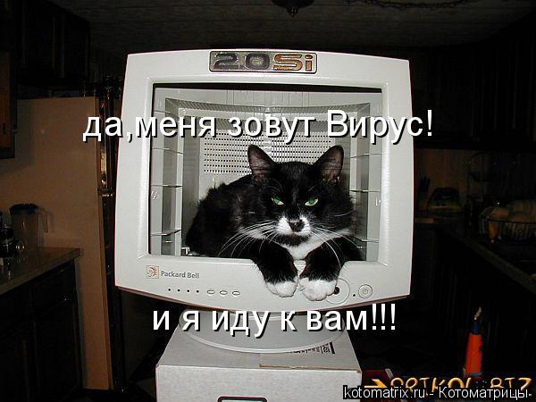 Котоматрица: да,меня зовут Вирус! и я иду к вам!!!