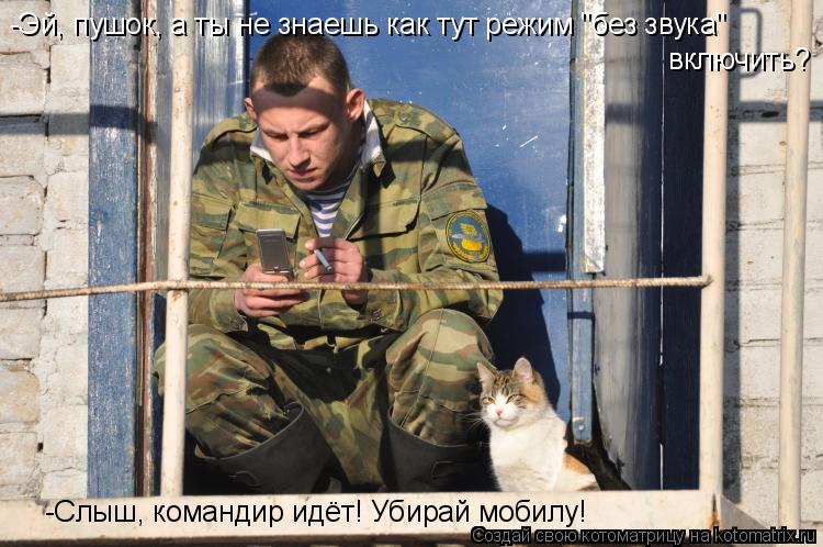Котоматрица: -Эй, пушок, а ты не знаешь как тут режим "без звука" включить? -Слыш, командир идёт! Убирай мобилу!