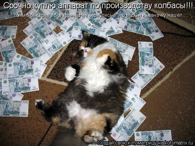Срочно куплю аппарат по производству колбасы!!!... только быстрее пока хозяева не вернулись... это ве... Котоматрица: Срочно куплю аппарат по производству колбасы!!!... только быстрее пока хозяева не вернулись... это ведь я их заначку нашёл....