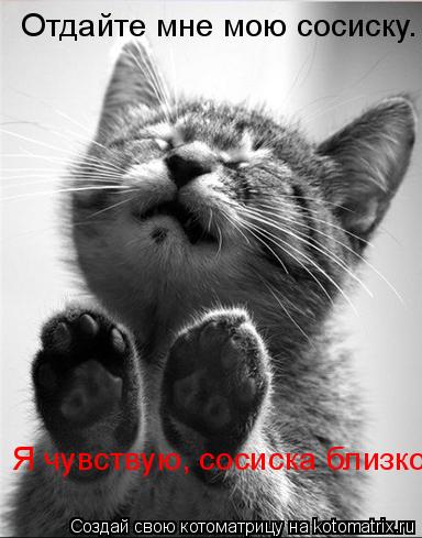Котоматрица: Отдайте мне мою сосиску. Я чувствую, сосиска близко.