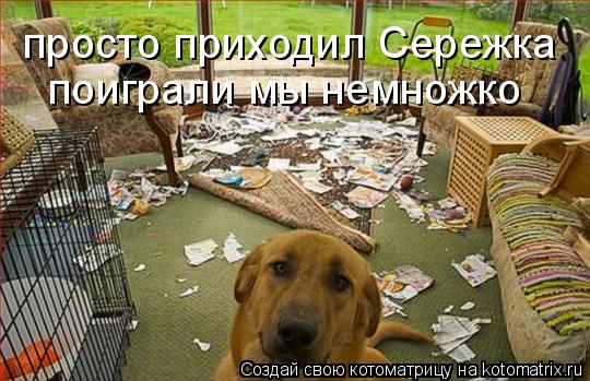 Котоматрица: просто приходил Сережка поиграли мы немножко