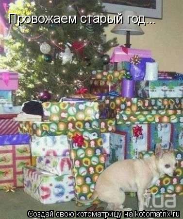 Котоматрица: Провожаем старый год...