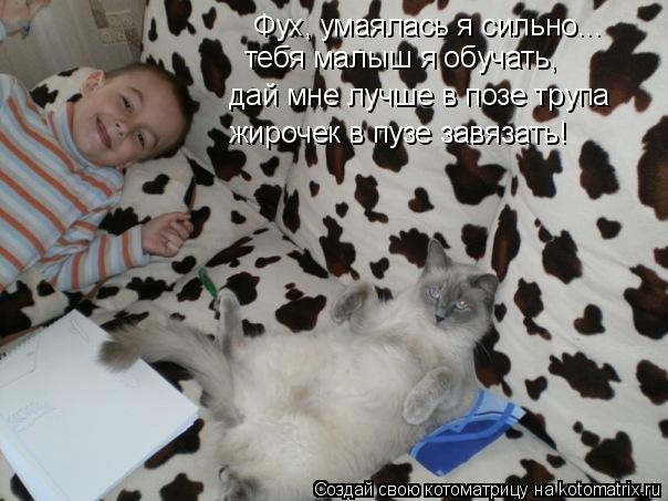 Котоматрица: Фух, умаялась я сильно... тебя малыш я обучать, дай мне лучше в позе трупа жирочек в пузе завязать!