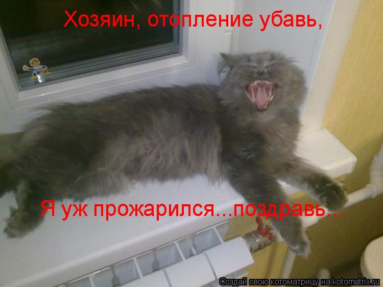 Котоматрица: Хозяин, отопление убавь, Я уж прожарился...поздравь...