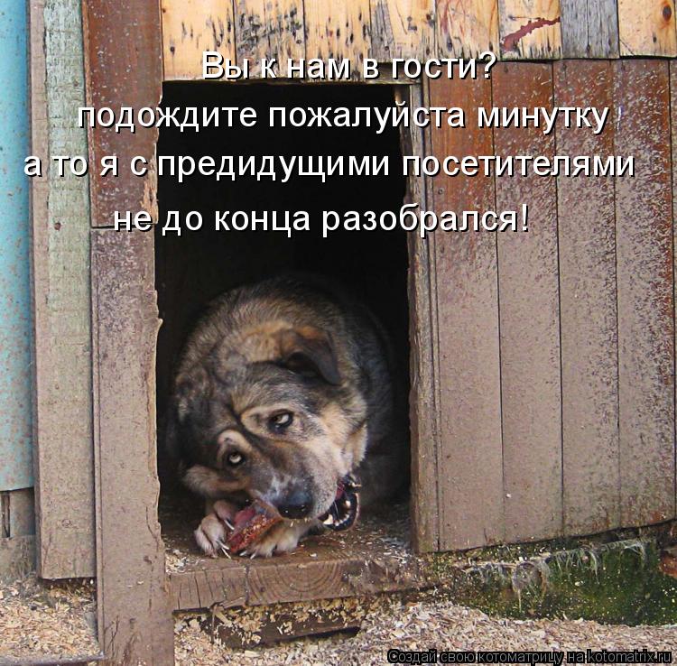 Котоматрица: Вы к нам в гости? подождите пожалуйста минутку а то я с предидущими посетителями  не до конца разобрался!