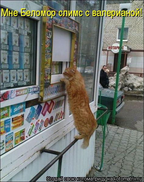 Котоматрица: Мне Беломор слимс с валерианой!