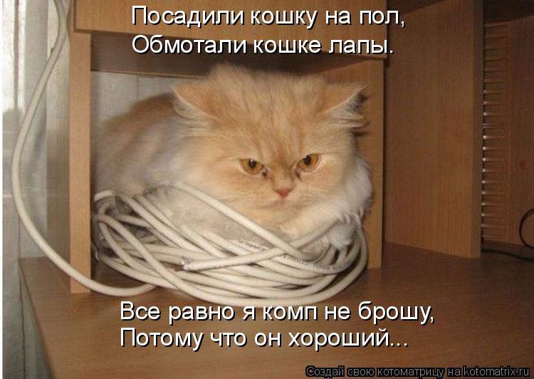 Котоматрица: Посадили кошку на пол, Обмотали кошке лапы. Все равно я комп не брошу, Потому что он хороший...