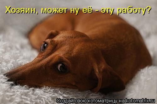 Котоматрица: Хозяин, может ну её - эту работу?