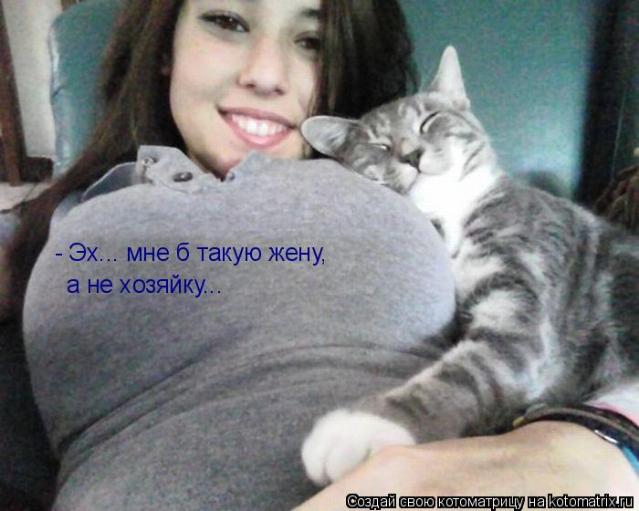 Котоматрица: - Эх... мне б такую жену, а не хозяйку...