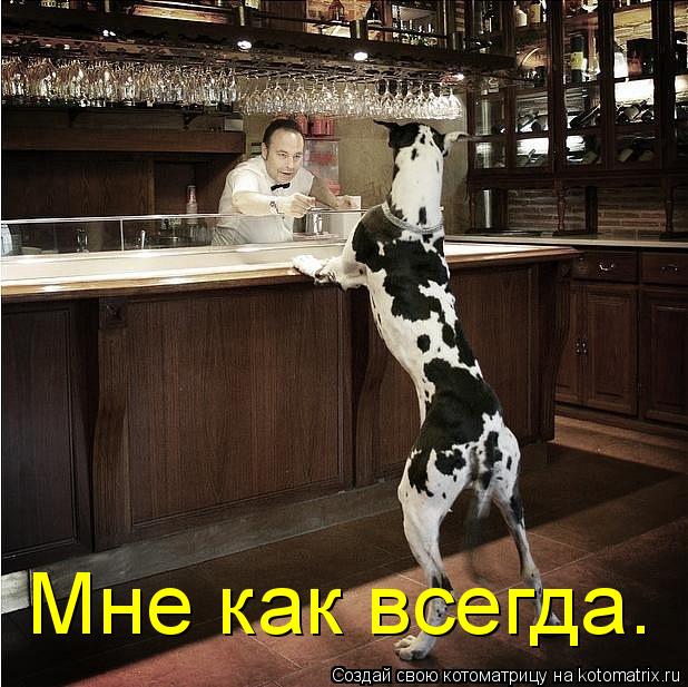 Котоматрица: Мне как всегда.