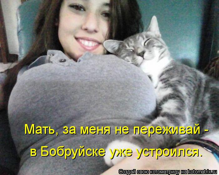 Котоматрица: Мать, за меня не переживай -  в Бобруйске уже устроился.