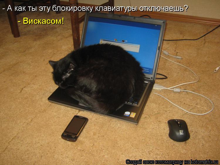 Котоматрица: - А как ты эту блокировку клавиатуры отключаешь? - Вискасом!