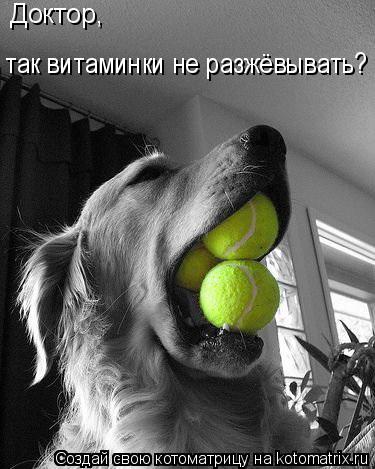 Котоматрица: Доктор,  так витаминки не разжёвывать?