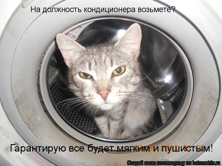 Котоматрица: На должность кондиционера возьмете? Гарантирую все будет мягким и пушистым!
