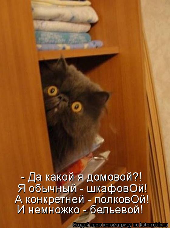 - Да какой я домовой?! Я обычный - шкафовОй! А конкретней - полковОй! И немножко - бельевой!... Котоматрица: - Да какой я домовой?! Я обычный - шкафовОй! А конкретней - полковОй! И немножко - бельевой!