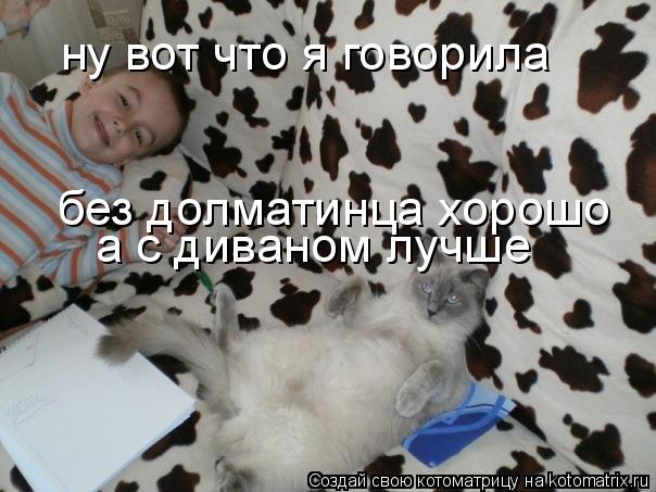 Котоматрица: ну вот что я говорила  без долматинца хорошо  а с диваном лучше
