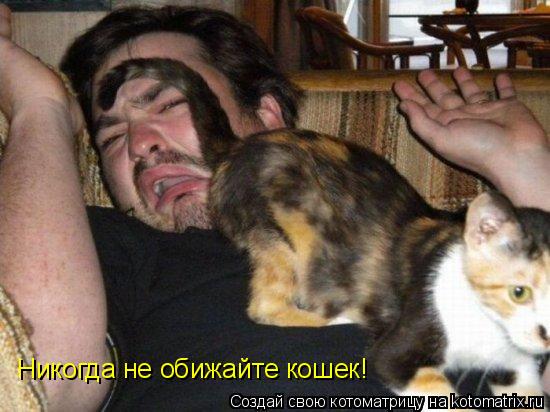 Котоматрица: Никогда не обижайте кошек!