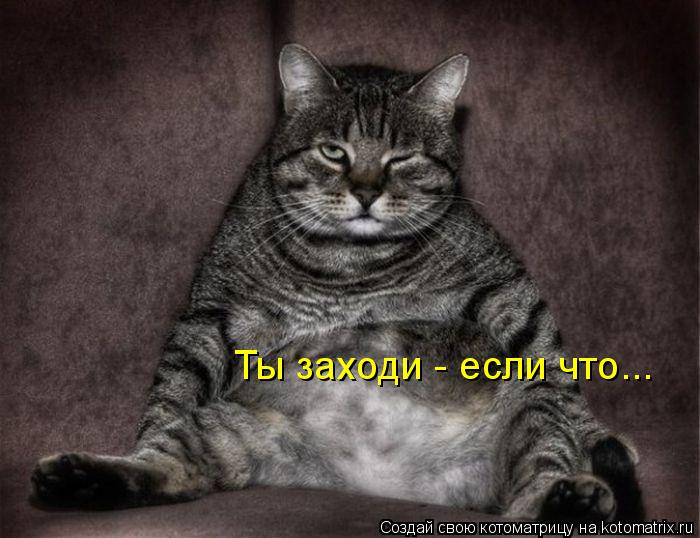 Котоматрица: Ты заходи - если что...