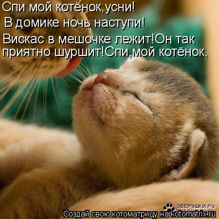 Котоматрица: В домике ночь наступи! Вискас в мешочке лежит!Он так  приятно шуршит!Спи,мой котёнок, Спи мой котёнок,усни!