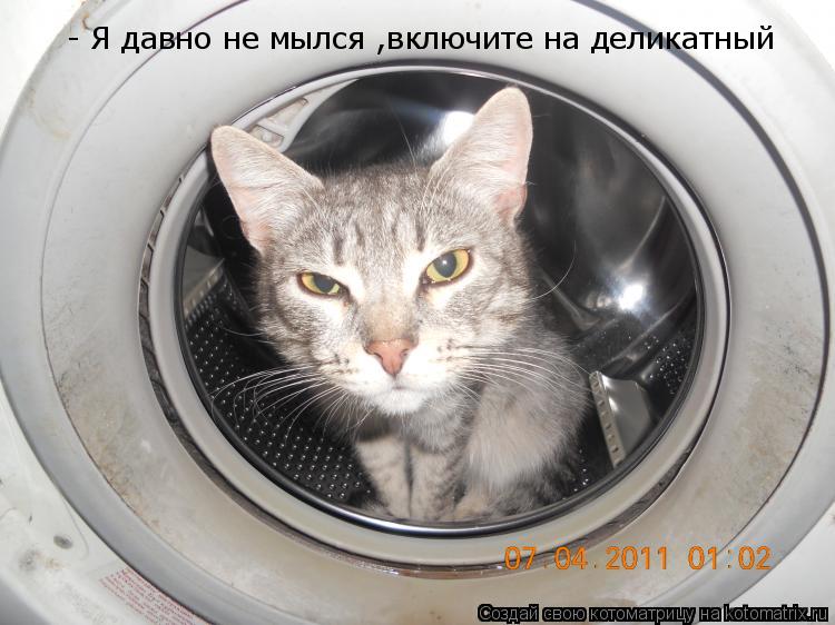 Котоматрица: - Я давно не мылся ,включите на деликатный