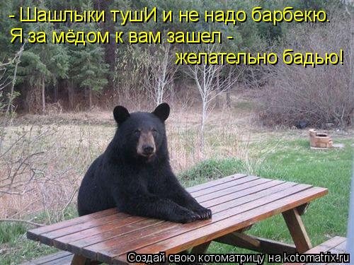 Котоматрица: - Шашлыки тушИ и не надо барбекю. Я за мёдом к вам зашел -  желательно бадью!