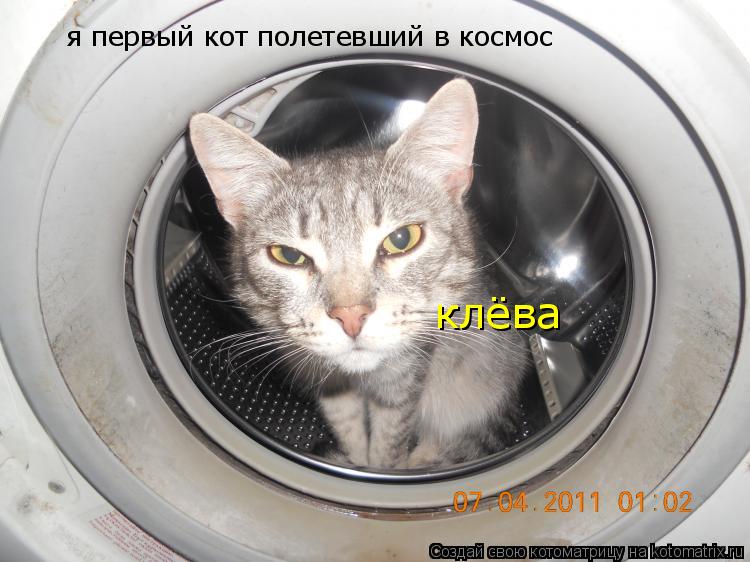 Котоматрица: я первый кот полетевший в космос клёва