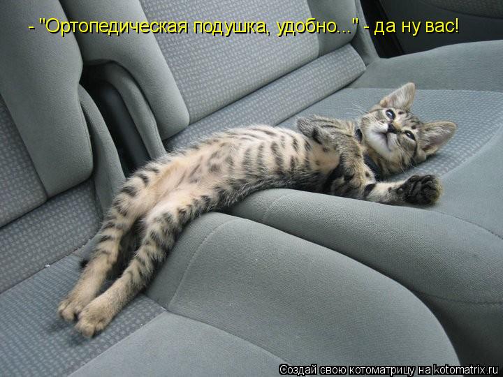 - "Ортопедическая подушка, удобно..." - да ну вас!... Котоматрица: - "Ортопедическая подушка, удобно..." - да ну вас!