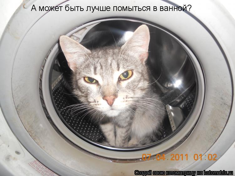 Котоматрица: А может быть лучше помыться в ванной?