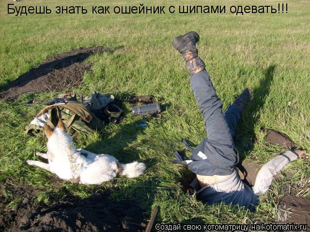 Котоматрица: Будешь знать как ошейник с шипами одевать!!!