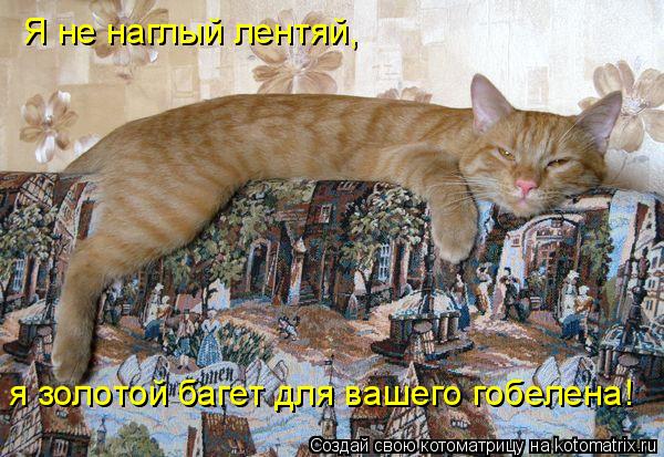 Я не наглый лентяй, я золотой багет для вашего гобелена!... Котоматрица: Я не наглый лентяй, я золотой багет для вашего гобелена!