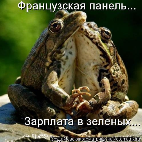 Французская панель... Зарплата в зеленых...... Котоматрица: Французская панель... Зарплата в зеленых...