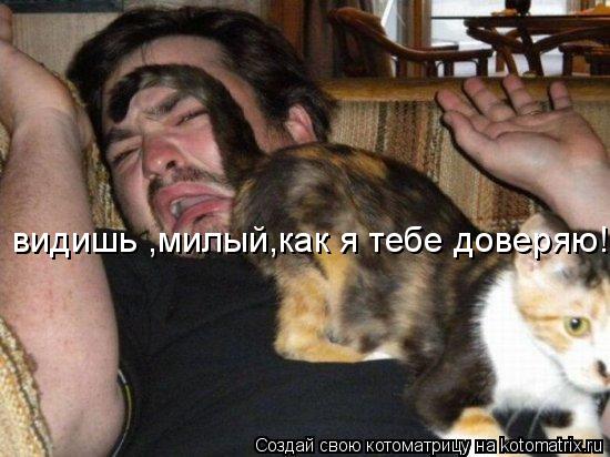 видишь ,милый,как я тебе доверяю!... Котоматрица: видишь ,милый,как я тебе доверяю!
