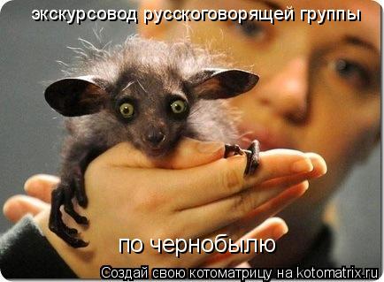 экскурсовод русскоговорящей группы по чернобылю... Котоматрица: экскурсовод русскоговорящей группы по чернобылю