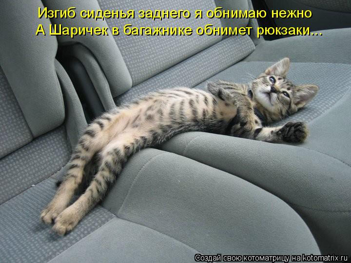 Изгиб сиденья заднего я обнимаю нежно А Шаричек в багажнике обнимет рюкзаки...... Котоматрица: Изгиб сиденья заднего я обнимаю нежно А Шаричек в багажнике обнимет рюкзаки...