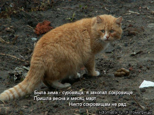 Была зима - суровища, я закопал сокровище Пришла весна и месяц март Никто сокровищам не рад... Котоматрица: Была зима - суровища, я закопал сокровище Пришла весна и месяц март Никто сокровищам не рад