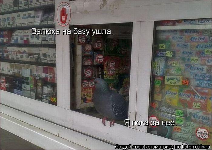 Валюха на базу ушла. Я пока за неё.... Котоматрица: Валюха на базу ушла. Я пока за неё.