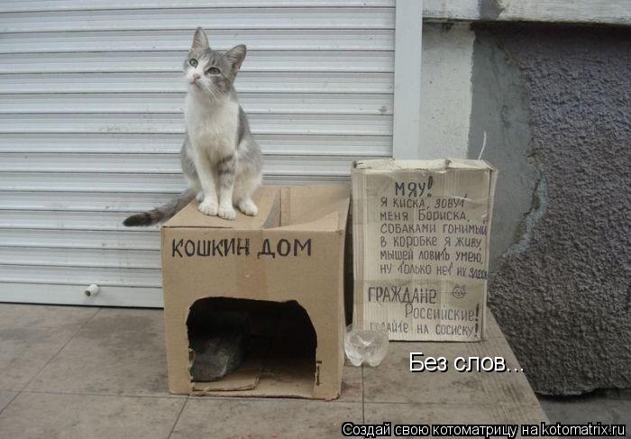 Без слов...... Котоматрица: Без слов...