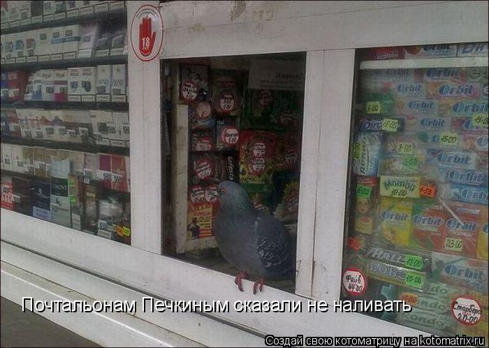 Почтальонам Печкиным сказали не наливать... Котоматрица: Почтальонам Печкиным сказали не наливать