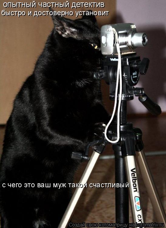 опытный частный детектив быстро и достоверно установит с чего это ваш муж такой счастливый... Котоматрица: опытный частный детектив быстро и достоверно установит с чего это ваш муж такой счастливый