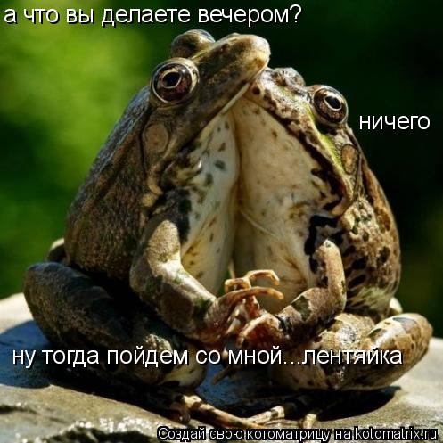 а что вы делаете вечером? ничего ну тогда пойдем со мной...лентяйка... Котоматрица: а что вы делаете вечером? ничего ну тогда пойдем со мной...лентяйка