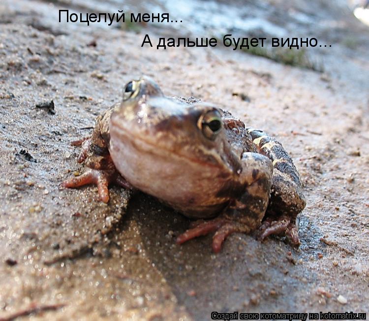 Поцелуй меня... А дальше будет видно...... Котоматрица: Поцелуй меня... А дальше будет видно...