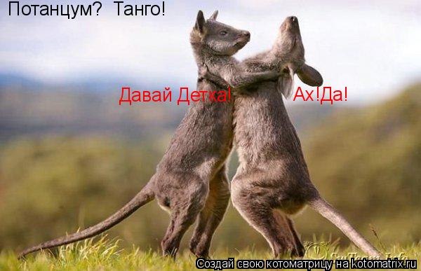 Потанцум? Танго! Ах!Да! Давай Детка!... Котоматрица: Потанцум? Танго! Ах!Да! Давай Детка!