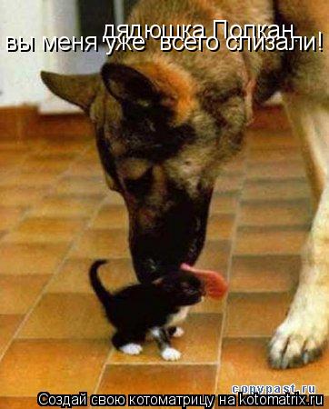 дядюшка Полкан, вы меня уже всего слизали!... Котоматрица: дядюшка Полкан, вы меня уже всего слизали!