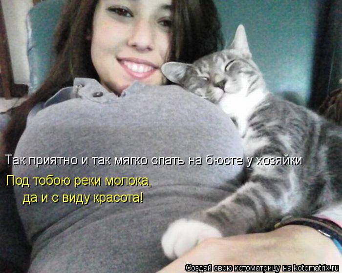 Так приятно и так мягко спать на бюсте у хозяйки Под тобою реки молока, да и с виду красота!... Котоматрица: Так приятно и так мягко спать на бюсте у хозяйки Под тобою реки молока, да и с виду красота!