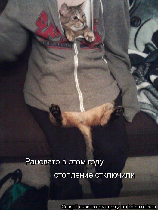 Рановато в этом году отопление отключили... Котоматрица: Рановато в этом году отопление отключили