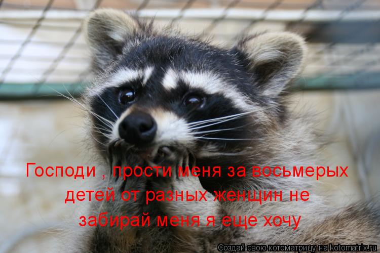 Господи , прости меня за восьмерых детей от разных женщин не забирай меня я еще хочу... Котоматрица: Господи , прости меня за восьмерых детей от разных женщин не забирай меня я еще хочу