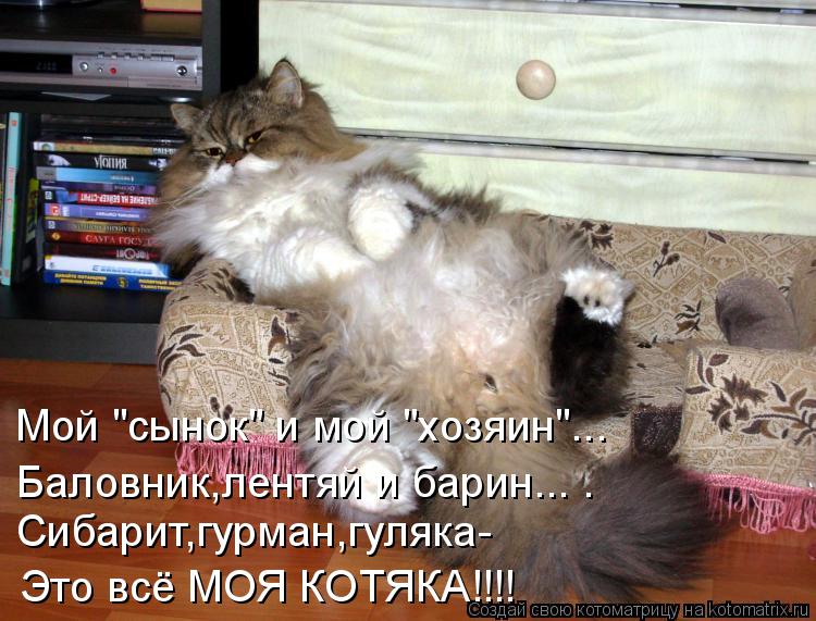 Котоматрица: Мой "сынок" и мой "хозяин"...  Баловник,лентяй и барин... . Сибарит,гурман,гуляка-  Это всё МОЯ КОТЯКА!!!!