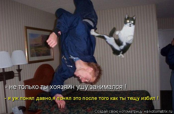 - не только ты хоязяин ушу занимался ! - я уж понял давно,я понял это после того как ты тещу избил !... Котоматрица: - не только ты хоязяин ушу занимался ! - я уж понял давно,я понял это после того как ты тещу избил !
